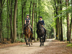 © M. Kuiter / Münsterland e.V.